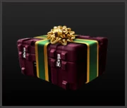 The Kalika Specialist Case