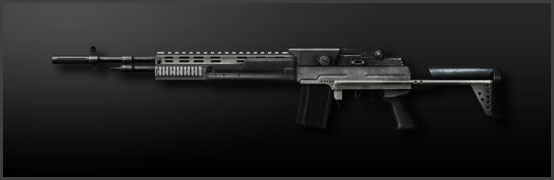 Mark 14 Mod 0 Enhanced Battle Rifle - SWAT Survival