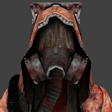 The Assassin Face Hair