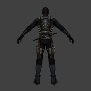 Ninja: Melee: Back View