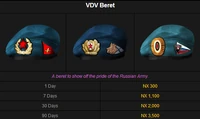 VDV Beret