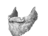 Santa's Beard