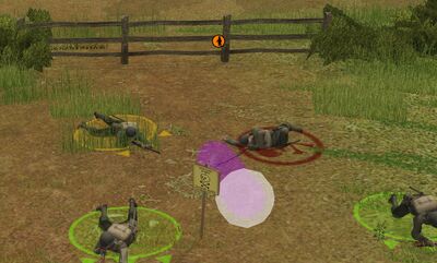 Marked minefield.jpg