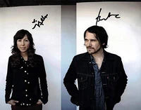 Silversunpickups