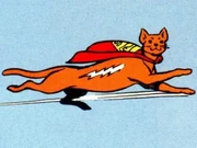 DC COMICS: Streaky the Supercat (comics)
