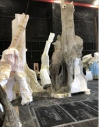 Parliment Of The Trees (10)