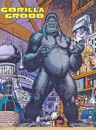 Grodd