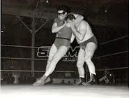 Caped crusader 5.jpg (15 KB) Boy Wonder 5