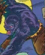 Raymond Coker Werewolf By Night