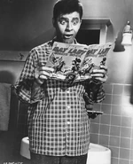 Balady 2.jpg (61 KB) Bat Lady 2