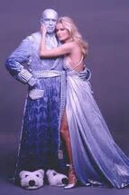 Mr and mrs freeze