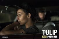 AMC PREACHER TULIP
