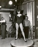 Balady 8.jpg (17 KB) Bat Lady 8