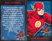 2016 JUSTICE LEAGUE 05 FLASH