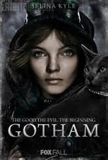 Gotham Selina Kyle 