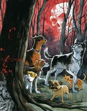 DARK HORSE BEAST OF BURDEN
