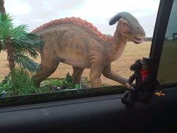 86, Dinosaur Adventure