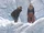 CBS Supergirl bio Fortress Of Solitude