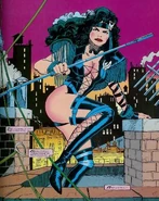 Nightcat comic.jpg (54 KB) Nightcat comic