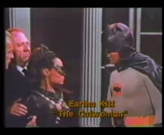 abc 25th anniversary (41) Catwoman