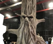 Parliment Of The Trees (9)