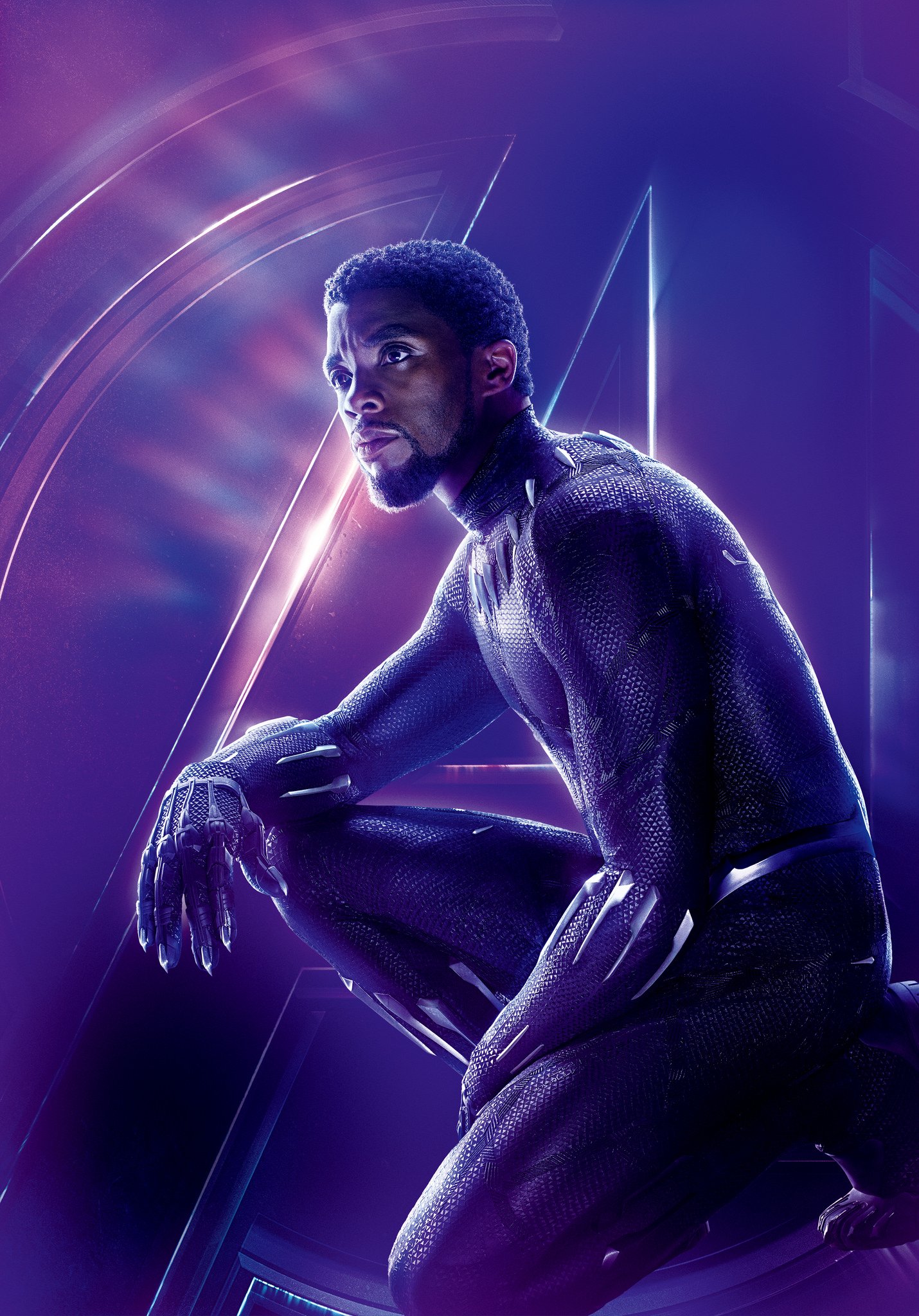 Black Panther (MCU) | Comic vs Anime vs Cartoon Wiki | Fandom