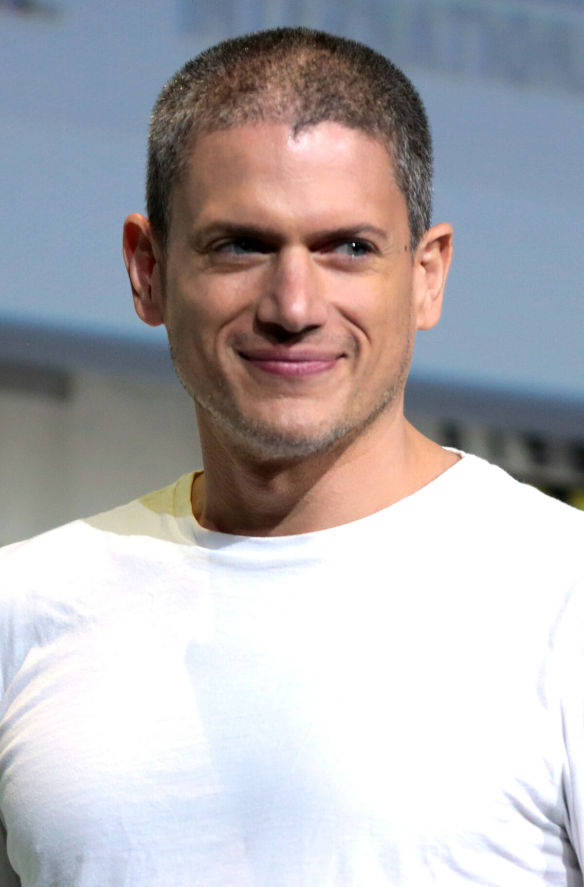 Wentworth Miller Comicbook Actors Wiki Fandom