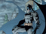 Bruce Wayne (Nueva Tierra)