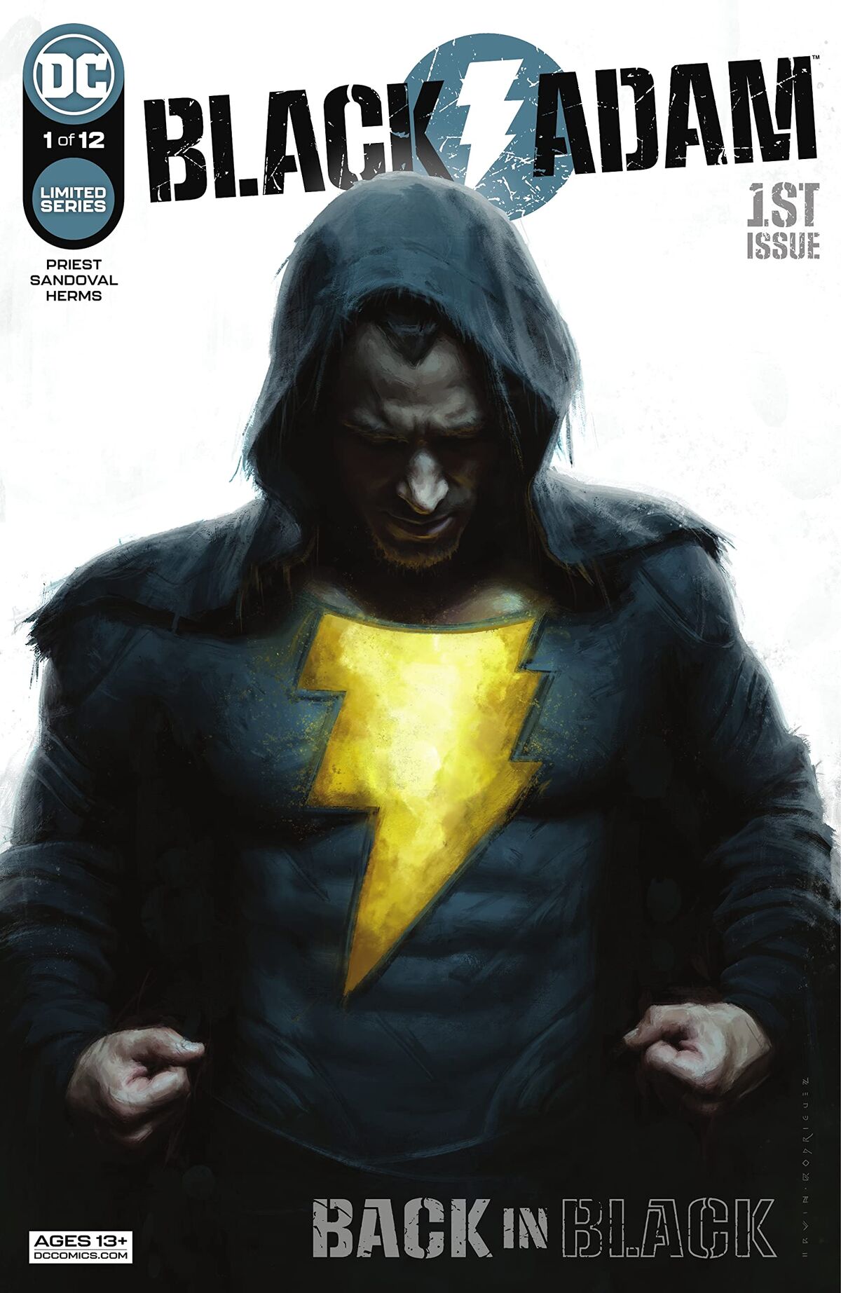 Black Adam #2 (of 6) by Peter J. Tomasi