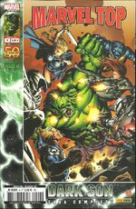 Marvel Top Vol 2 4 : Incredible Hulks Vol 1 612 Incredible Hulks Vol 1 613 Incredible Hulks Vol 1 614 Incredible Hulks Vol 1 615 Incredible Hulks Vol 1 616 Incredible Hulks Vol 1 617