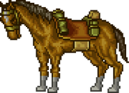 A horse