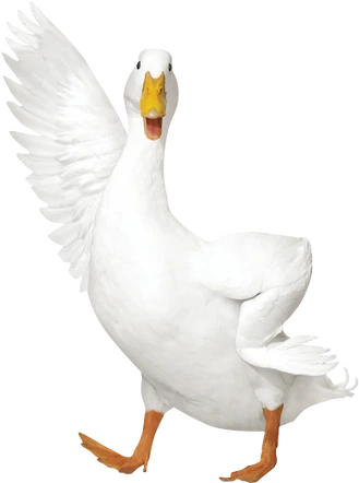 Duck (Aflac) | TV Commercial Wiki | Fandom