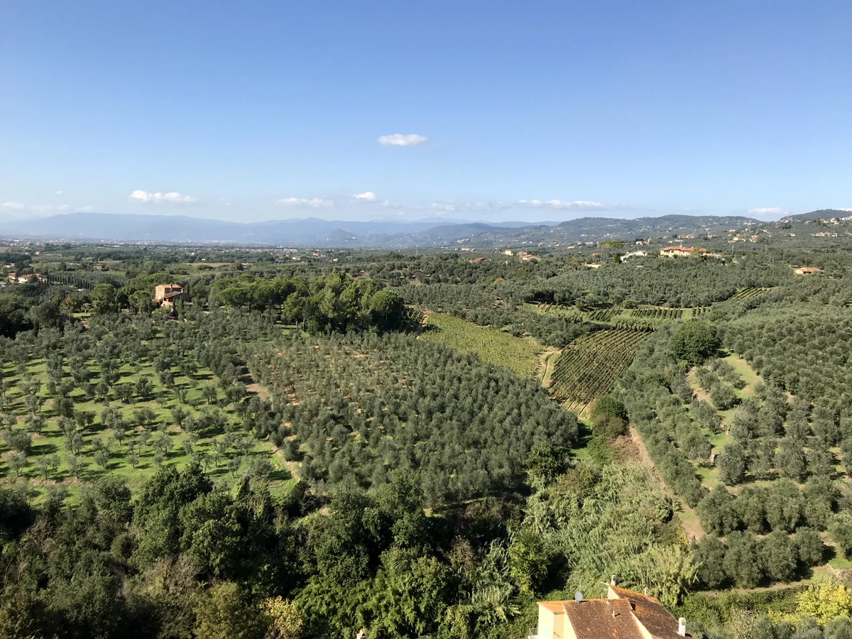 Vinci Commilitones Wiki Fandom