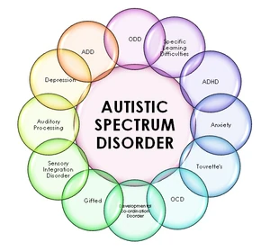 Autism Spectrum chart