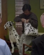 Dalmation-throw-plush