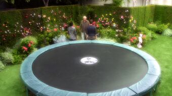 Trampoline Community Wiki Fandom