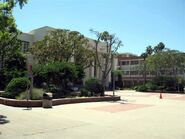 LACC quad