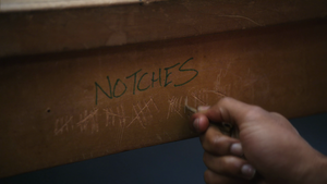 Notches