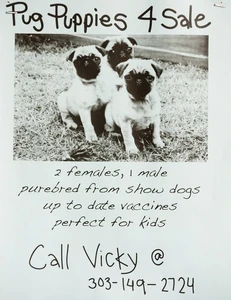 Greendale poster17.jpg (72 KB)