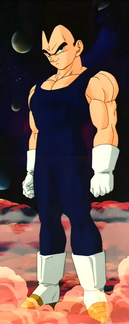 Kit Vegeta Dragon Ball Z Anime Tal Pai Tal Filho 2 Peças