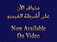 DisneyArabia-BilingualBumper01