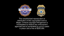 Walt Disney Studios Home Entertainment Warning Screens/United States of  America and Canada | Company Bumpers Wiki | Fandom