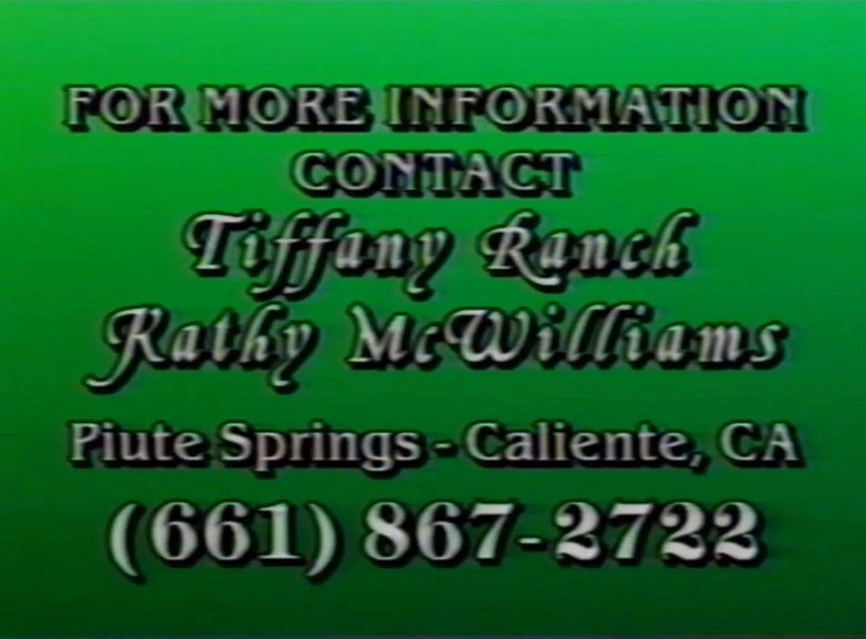 Classic Video Productions Contact Screen Company Bumpers Wiki Fandom