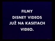 NOWONVIDEO-DISNEYPOLAND