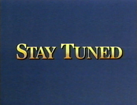 Stay Tuned Disney 1993-1996 Bumper.png