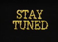 Stay Tuned Logo 1990.jpg