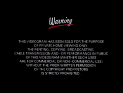 THE WARNING 「ERROR」 日本未発売未開封 the warning THE WARNING 「ERROR」 日本未発売未開封 the warning THE