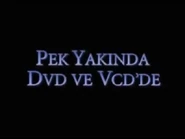 ComingToDVDandVCD-DisneyTurkey