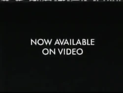 SouthAfricanBumperFromDisney-NOWONVIDEO