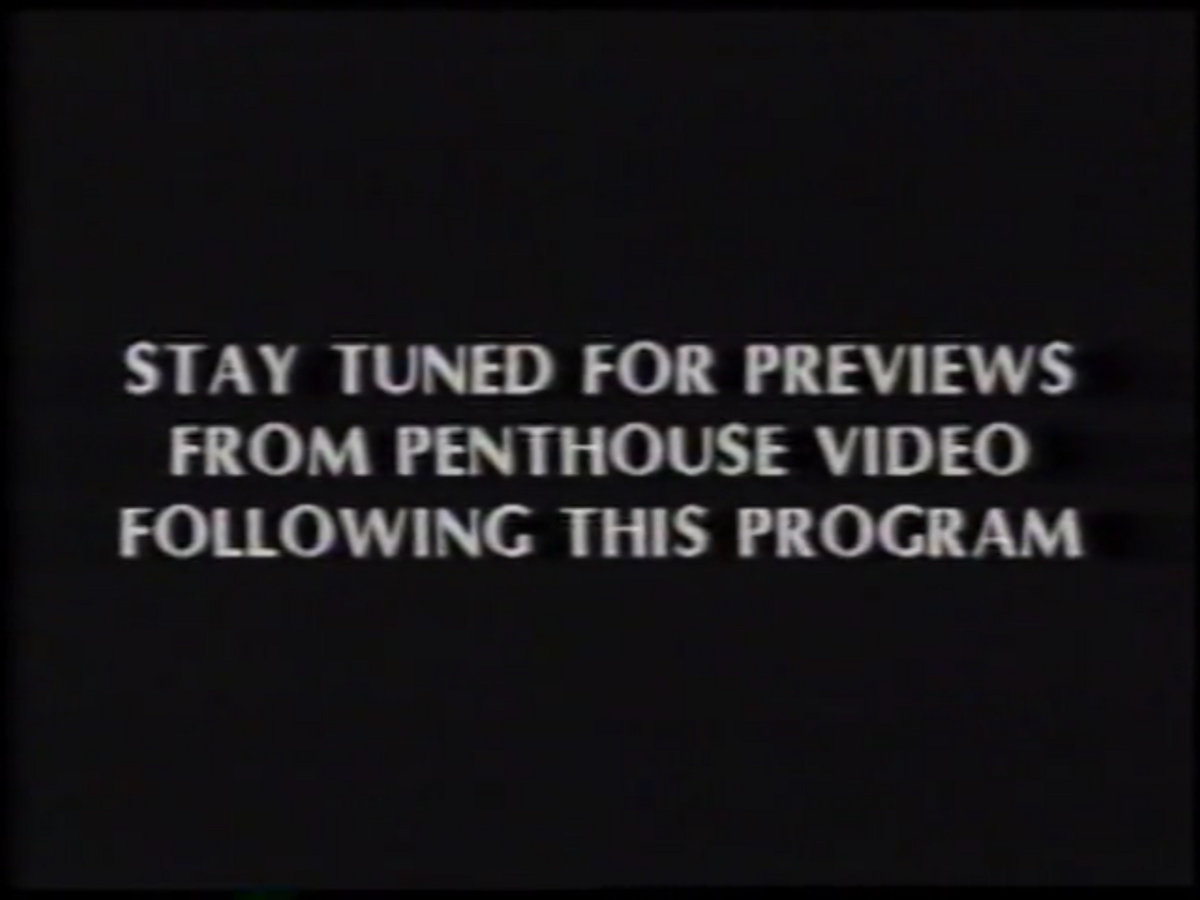Penthouse Video Stay Tuned Bumper Company Bumpers Wiki Fandom